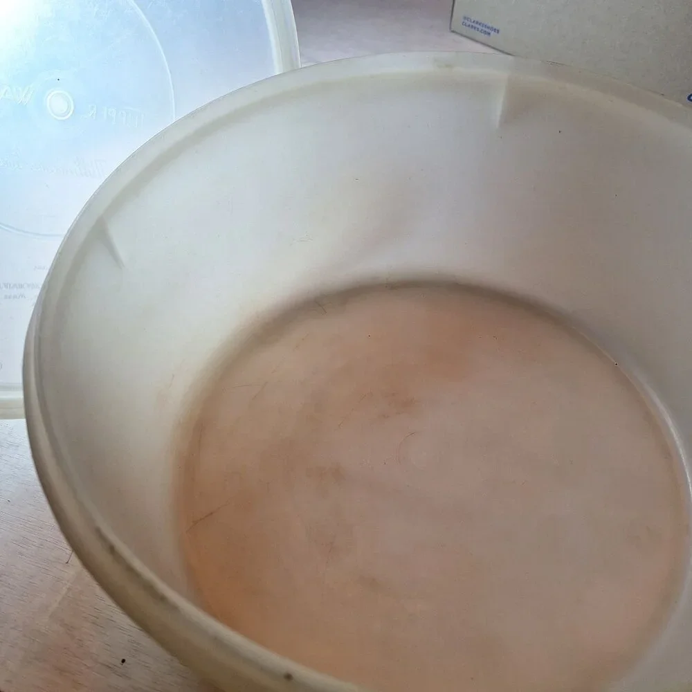 Tupperware Cake Container 256-1 Millionaire Line Seal‎ 224-2 Storage Lid Vintage
